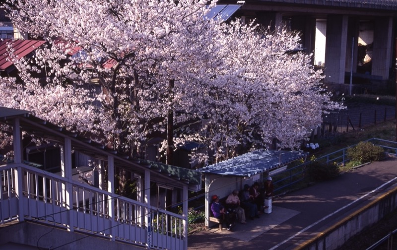 高川山